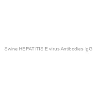 Swine HEPATITIS E virus Antibodies IgG